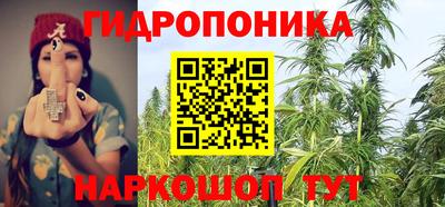 Альфа ПВП Бердск