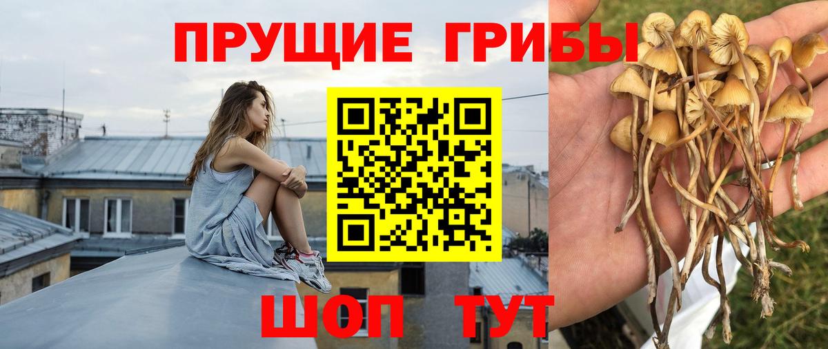 Псилоцибиновые грибы MAGIC MUSHROOMS  Вход с VPN  Казань 